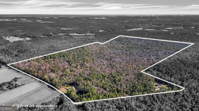 215 Herbert Kessler Rd, Guyton, GA 31312 - photo 7