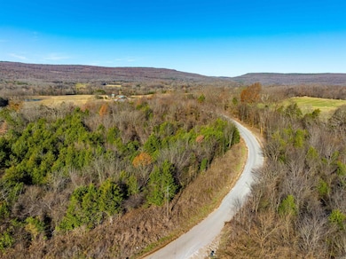 0 Country Oaks Rd unit 25047213, Greenbrier Township, AR 72550 - photo 5