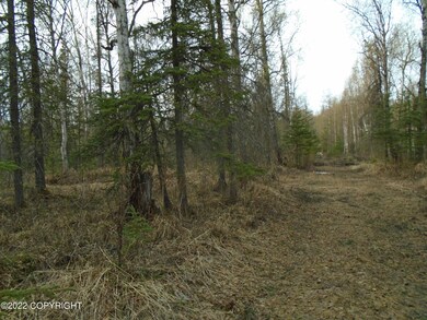 section line