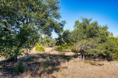 11 Wynstone, Fair Oaks, TX 78006 - photo 5