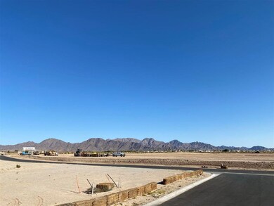 13246 S Sandra Ave, Yuma, AZ 85367 - photo 5