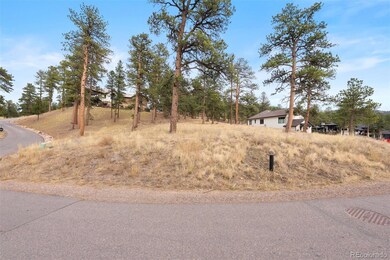 5236 Mountain Vista Ln unit 5, Evergreen, CO 80439 - photo 4