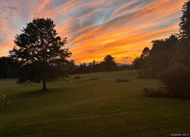 204 Moore Rd, Germantown, NY 12526 - photo 3