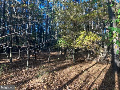 81 Davis Rd, Marion Station, MD 21838 - photo 2