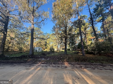 201 Waters Grove Rd, Sylvania, GA 30467 - photo 4