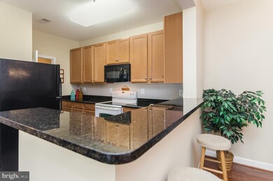 6161 Willow Place unit 106, Bealeton, VA 22712 - photo 7