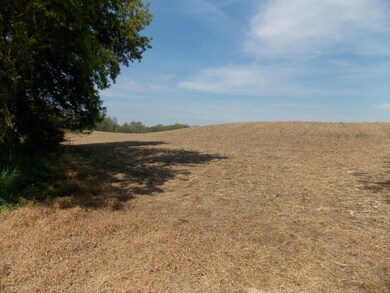DSCN2628