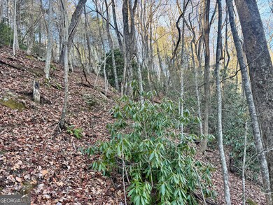 0 Mule Branch Rd unit 10655521, Helen, GA 30545 - photo 7