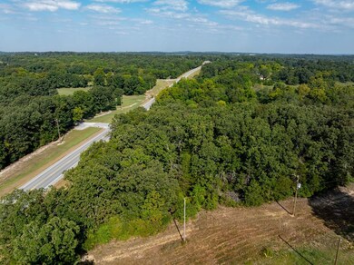 0 Hwy 167 N, Cave City, AR 72521 - photo 5