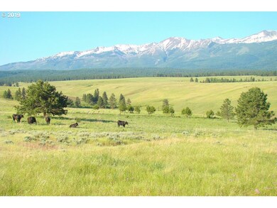 0 Rail Canyon Rd unit 19056183, Joseph, OR 97846 - photo 3