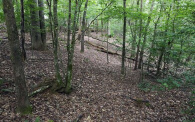 Additional View