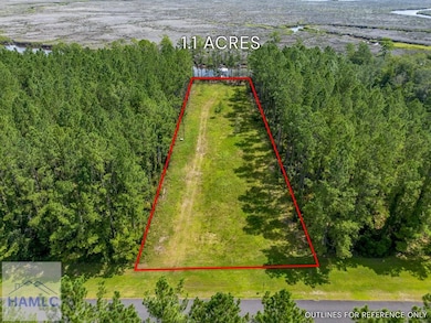 0 La Mare Ln unit 161537, Waverly, GA 31565 - photo 3