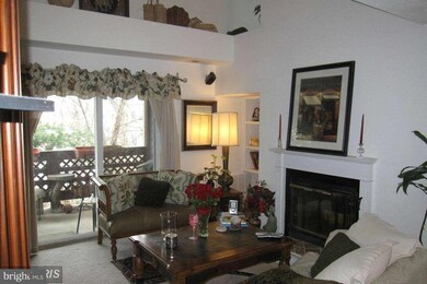 10008 Oakton Terrace Rd, Oakton, VA 22124 - photo 5