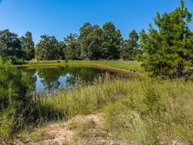 141 N Forest Dr, Huntsville, TX 77340 - photo 3