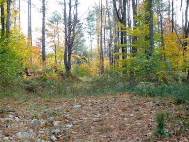 0 2nd New Hampshire Turnpike N unit 6, Deering, NH 03244 - photo 4