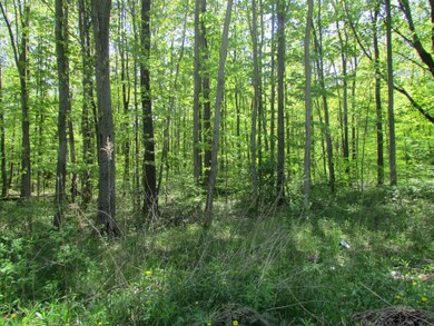 17298 River Bluff Dr, New Buffalo Township, MI 49129 - photo 4