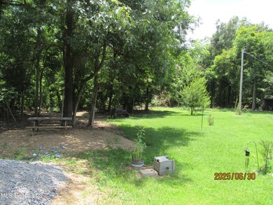 0 Freeman Ave, Yazoo City, MS 39194 - photo 6