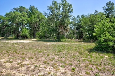 Parcel G SW 102nd Ct, Cedar Key, FL 32625 - photo 7