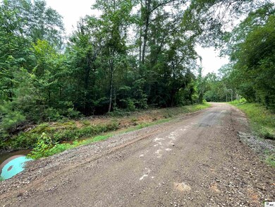 00 Kelley Rd, Quitman, LA 71268 - photo 7