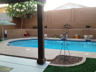 Backyard 15