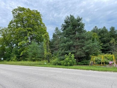 0 E State St unit 477228, Central Lake, MI 49622 - photo 3