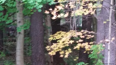 0 Mann Rd unit 201927745, Ballston, NY 12020 - photo 3