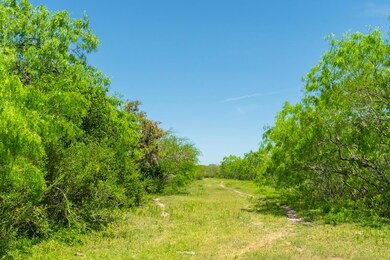 000 Ellis Rd, Beeville, TX 78102 - photo 3