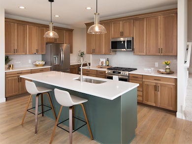 19545 Hammock Ave, Lakeville, MN 55044 - photo 2