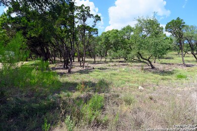 20711 Blue Quail Run, San Antonio, TX 78256 - photo 2