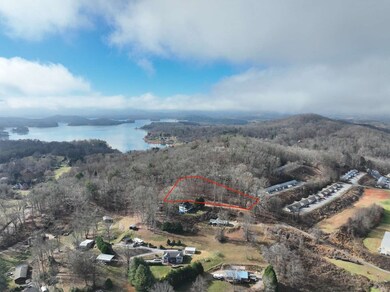0 High View Dr unit 154225, Hiawassee, NC 28904 - photo 4