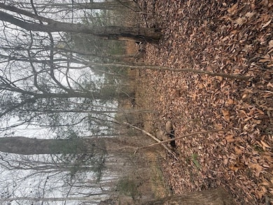 0 Paradise Rd unit 58029, Farmville, VA 23901 - photo 3