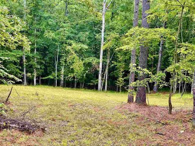 5102 Nevis Dr unit 99, Oxford, MS 38655 - photo 5