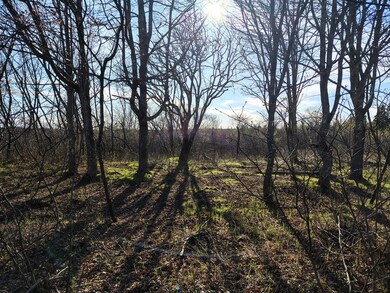 IMG_20250505_171719829_HDR