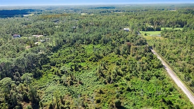 0 Quail Nest Ln unit MFRO6353244, New Smyrna Beach, FL 32168 - photo 5