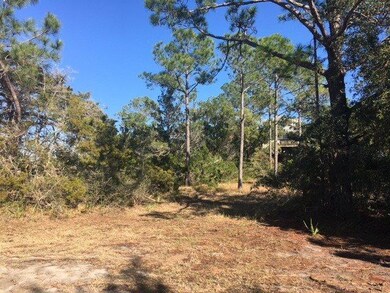 XX Mill Creek Rd, Crawfordville, FL 32327 - photo 7