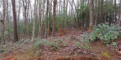 15 Gertrude Ln unit 18A, Candler, NC 28715 - photo 2