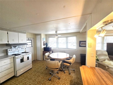 37135 Sandra Ave, Zephyrhills, FL 33542 - photo 4