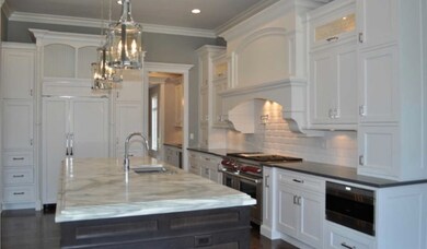 437 S Hill Ave, Elmhurst, IL 60126 - photo 5