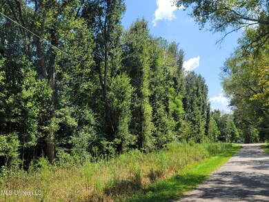 00 Walkiah Bluff Rd, Picayune, MS 39466 - photo 2