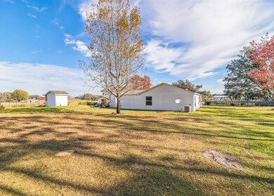 13866 County Road 103, Oxford, FL 34484 - photo 6