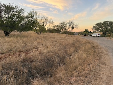 304 Red Wine, Horseshoe Bay, TX 78657 - photo 6