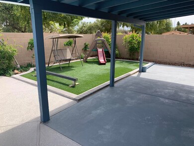D Back Yard