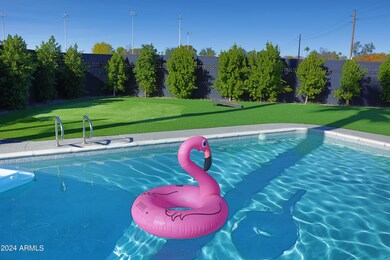 Spacious & Deep Pool