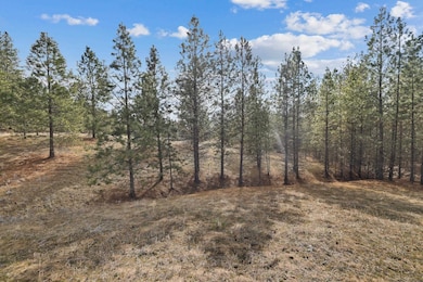 NKA Weaver Rd unit Lot 3 of Lot 11, Deer Park, WA 99006 - photo 6