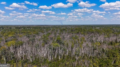 0 U S 84 unit 1 10563254, Homerville, GA 31634 - photo 5