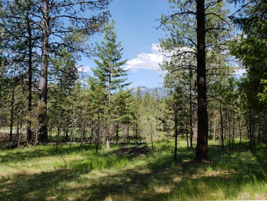 Nkn Us Highway 2, Libby, MT 59923 - photo 2