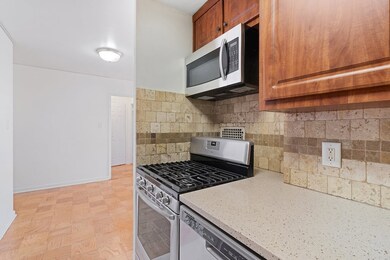 225 St Pauls Ave unit 8E, Jersey City, NJ 07306 - photo 3