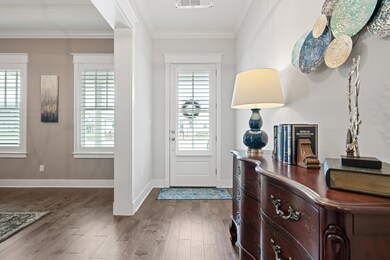 Foyer featuring dark hardwood / wood-style floors,
