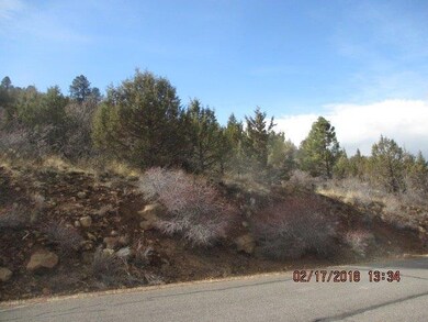 0 Peregrine Heights unit 102993509, Klamath Falls, OR 97601 - photo 5