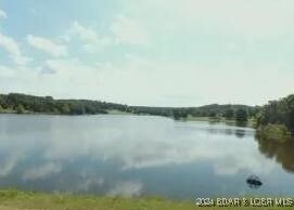 1990 Schultz Cir, Edwards, MO 65326 - photo 5